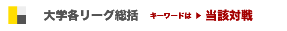 各リーグ総括