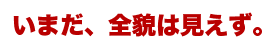 いまだ、全貌見えず。